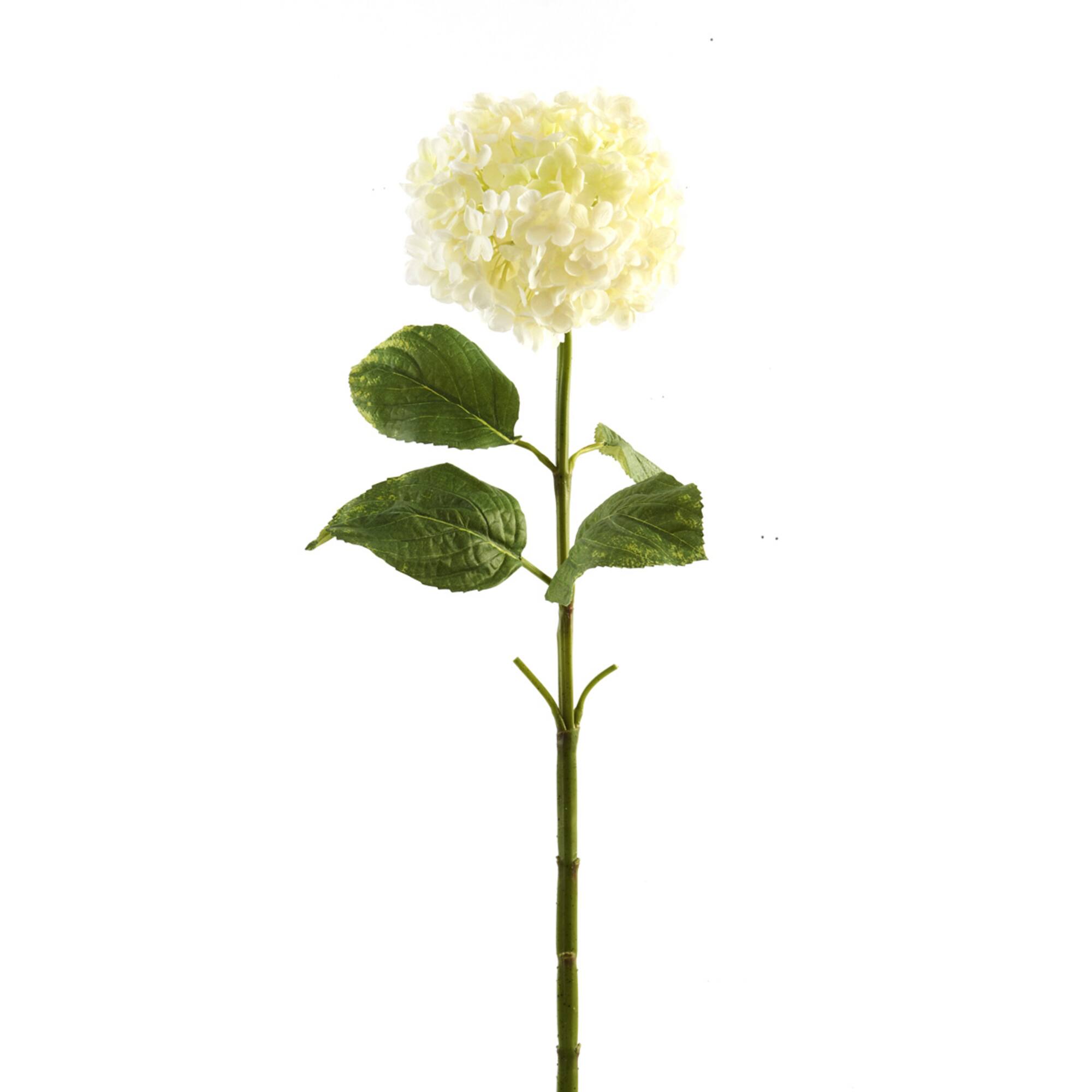 Small Cream Hydrangea Stem by Ashland®